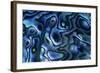 USA, Colorado, Lafayette. Abalone Shell Close Up-Jaynes Gallery-Framed Photographic Print