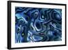 USA, Colorado, Lafayette. Abalone Shell Close Up-Jaynes Gallery-Framed Photographic Print