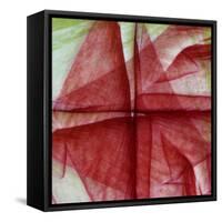 USA, Colorado, Lafayette. Amaryllis Montage-Jaynes Gallery-Framed Stretched Canvas