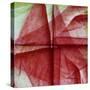 USA, Colorado, Lafayette. Amaryllis Montage-Jaynes Gallery-Stretched Canvas