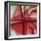 USA, Colorado, Lafayette. Amaryllis Montage-Jaynes Gallery-Framed Photographic Print