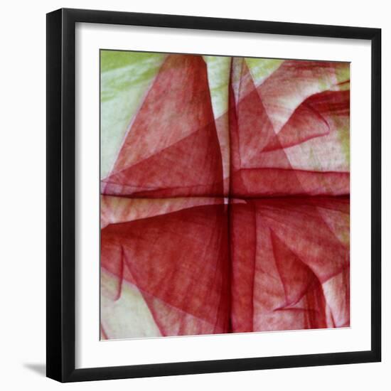 USA, Colorado, Lafayette. Amaryllis Montage-Jaynes Gallery-Framed Photographic Print