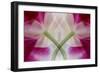 USA, Colorado, Lafayette. Orchid Montage-Jaynes Gallery-Framed Photographic Print