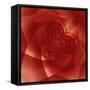 USA, Colorado, Lafayette. Red Rose Montage-Jaynes Gallery-Framed Stretched Canvas