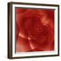 USA, Colorado, Lafayette. Red Rose Montage-Jaynes Gallery-Framed Photographic Print