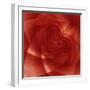 USA, Colorado, Lafayette. Red Rose Montage-Jaynes Gallery-Framed Photographic Print