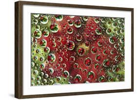 USA, Colorado, Lafayette. Water Bubbles on Glass Table Top-Jaynes Gallery-Framed Photographic Print