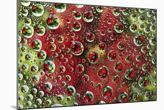 USA, Colorado, Lafayette. Water Bubbles on Glass Table Top-Jaynes Gallery-Mounted Photographic Print