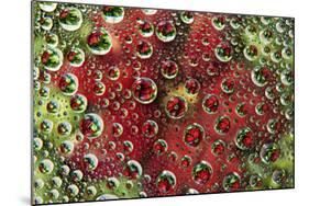 USA, Colorado, Lafayette. Water Bubbles on Glass Table Top-Jaynes Gallery-Mounted Photographic Print