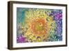 USA, Colorado, Lafayette. Water Bubbles on Glass Table Top-Jaynes Gallery-Framed Photographic Print