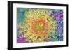 USA, Colorado, Lafayette. Water Bubbles on Glass Table Top-Jaynes Gallery-Framed Photographic Print