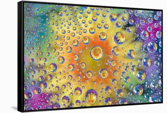 USA, Colorado, Lafayette. Water Bubbles on Glass Table Top-Jaynes Gallery-Framed Stretched Canvas