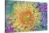 USA, Colorado, Lafayette. Water Bubbles on Glass Table Top-Jaynes Gallery-Stretched Canvas