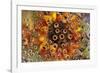 USA, Colorado, Lafayette. Water Bubbles on Glass Table Top-Jaynes Gallery-Framed Photographic Print