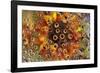 USA, Colorado, Lafayette. Water Bubbles on Glass Table Top-Jaynes Gallery-Framed Photographic Print