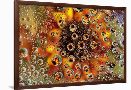 USA, Colorado, Lafayette. Water Bubbles on Glass Table Top-Jaynes Gallery-Framed Photographic Print