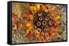 USA, Colorado, Lafayette. Water Bubbles on Glass Table Top-Jaynes Gallery-Framed Stretched Canvas