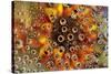 USA, Colorado, Lafayette. Water Bubbles on Glass Table Top-Jaynes Gallery-Stretched Canvas