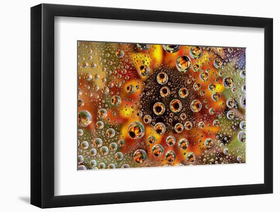 USA, Colorado, Lafayette. Water Bubbles on Glass Table Top-Jaynes Gallery-Framed Photographic Print