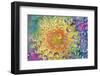 USA, Colorado, Lafayette. Water Bubbles on Glass Table Top-Jaynes Gallery-Framed Photographic Print