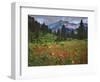 USA, Colorado, LaPlata Mountains. Wildflowers in mountain meadow.-Jaynes Gallery-Framed Photographic Print