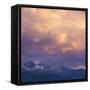 USA, Colorado. Long's Peak at sunset in Rocky Mountain National Park.-Anna Miller-Framed Stretched Canvas