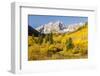 USA, Colorado, Maroon Bells. Mountain and forest autumn landscape.-Jaynes Gallery-Framed Photographic Print