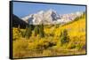 USA, Colorado, Maroon Bells. Mountain and forest autumn landscape.-Jaynes Gallery-Framed Stretched Canvas