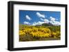 USA, Colorado, McClure Pass in the Colorado Rockies-Christian Heeb-Framed Photographic Print