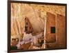 USA, Colorado, Mesa Verde, Long House-John Ford-Framed Photographic Print