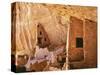 USA, Colorado, Mesa Verde, Long House-John Ford-Stretched Canvas