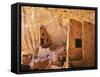 USA, Colorado, Mesa Verde, Long House-John Ford-Framed Stretched Canvas