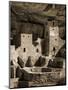 USA, Colorado, Mesa Verde National Park. Cliff Palace Ruin, Tinted Monochrome-Ann Collins-Mounted Photographic Print