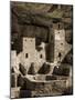 USA, Colorado, Mesa Verde National Park. Cliff Palace Ruin, Tinted Monochrome-Ann Collins-Mounted Photographic Print