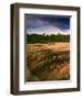 USA, Colorado, Mesa Verde National Park. Cliff Palace Ruins.-Jaynes Gallery-Framed Photographic Print