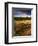 USA, Colorado, Mesa Verde National Park. Cliff Palace Ruins.-Jaynes Gallery-Framed Photographic Print