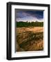 USA, Colorado, Mesa Verde National Park. Cliff Palace Ruins.-Jaynes Gallery-Framed Photographic Print