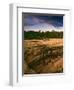 USA, Colorado, Mesa Verde National Park. Cliff Palace Ruins.-Jaynes Gallery-Framed Photographic Print