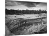 USA, Colorado, Mesa Verde NP. Overview of Cliff Palace Ruins-Dennis Flaherty-Mounted Photographic Print