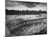 USA, Colorado, Mesa Verde NP. Overview of Cliff Palace Ruins-Dennis Flaherty-Mounted Photographic Print