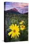 USA, Colorado, Mt. Crested Butte. Meadow Wildflowers at Sunset-Jaynes Gallery-Stretched Canvas