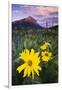 USA, Colorado, Mt. Crested Butte. Meadow Wildflowers at Sunset-Jaynes Gallery-Framed Photographic Print