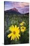 USA, Colorado, Mt. Crested Butte. Meadow Wildflowers at Sunset-Jaynes Gallery-Stretched Canvas