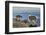 USA, Colorado, Mt. Evans. Mountain goats and scenery.-Cathy and Gordon Illg-Framed Photographic Print