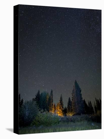USA, Colorado. Night Sky at Lost Lake Slough-Jaynes Gallery-Stretched Canvas