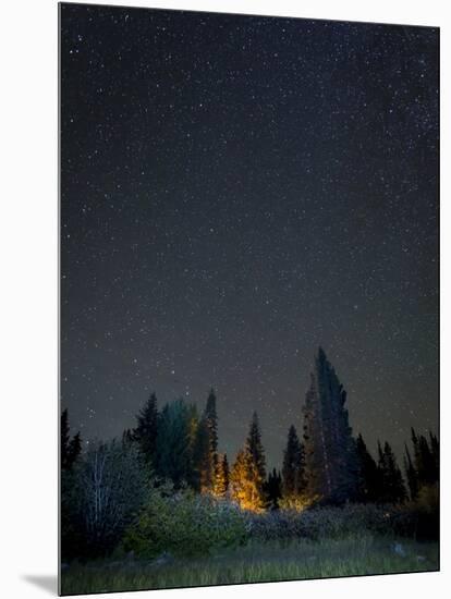 USA, Colorado. Night Sky at Lost Lake Slough-Jaynes Gallery-Mounted Photographic Print