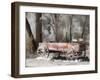 USA, Colorado. Old red wagon.-Julie Eggers-Framed Photographic Print