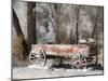 USA, Colorado. Old red wagon.-Julie Eggers-Mounted Photographic Print