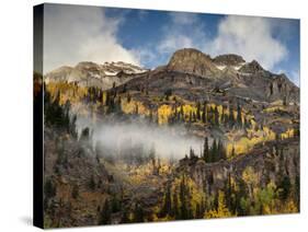 USA, Colorado, Ouray, Fall Color on Mountainside-Ann Collins-Stretched Canvas