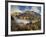 USA, Colorado, Ouray, Fall Color on Mountainside-Ann Collins-Framed Photographic Print